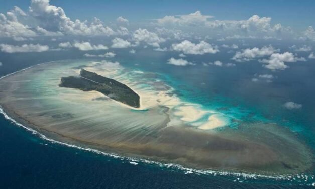 Ici c’est Madagascar !