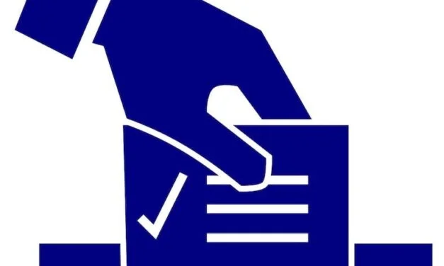 Abstention : une pathologie sociale à guérir ou une enigme à résoudre ?