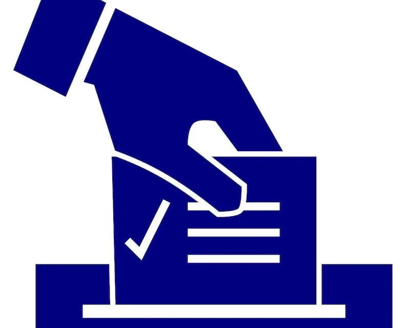 Abstention : une pathologie sociale à guérir ou une enigme à résoudre ?