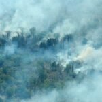 Madagascar : « Nos forêts brulent ! » un cri d’alarme ou de désarroi ?