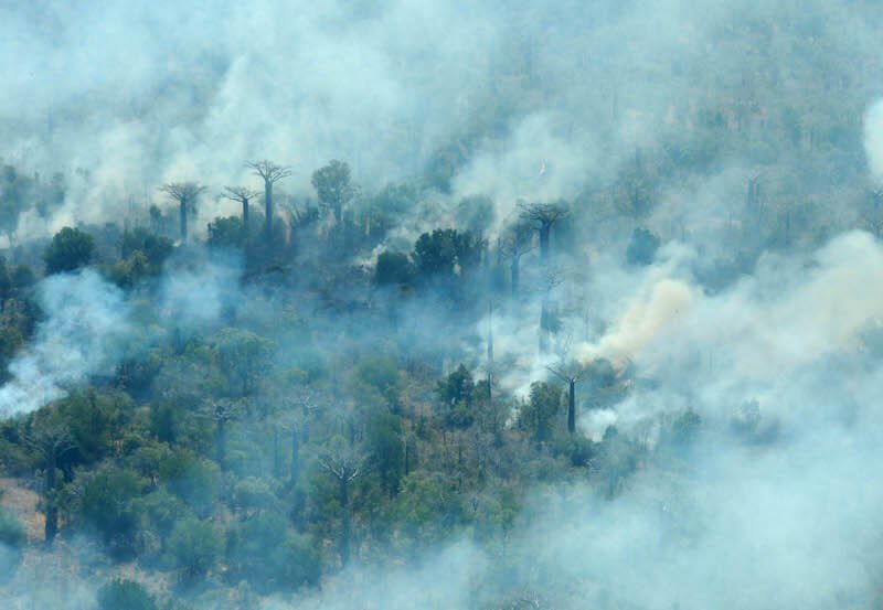 Madagascar : « Nos forêts brulent ! » un cri d’alarme ou de désarroi ?
