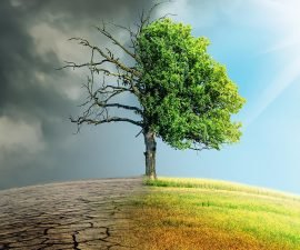 Océan indien et changement climatique : Une stratégie régionale serait-elle plus efficace ?