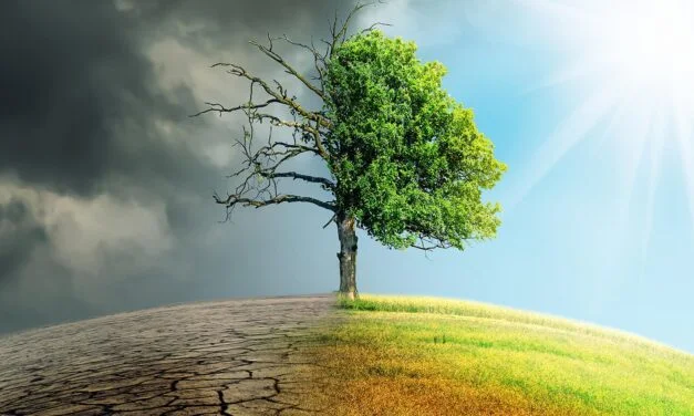 Océan indien et changement climatique : Une stratégie régionale serait-elle plus efficace ?