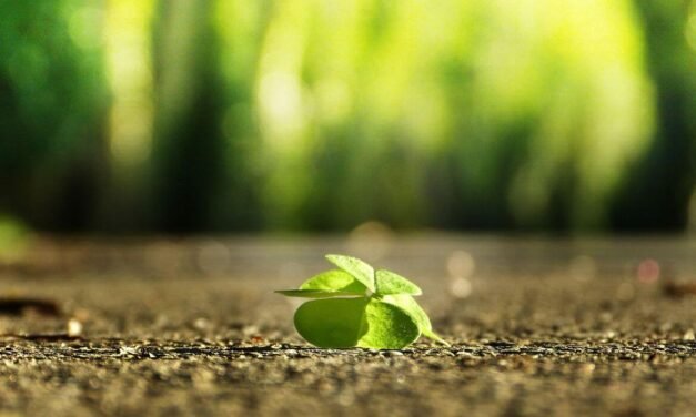 A quoi pensent les Malgaches ?