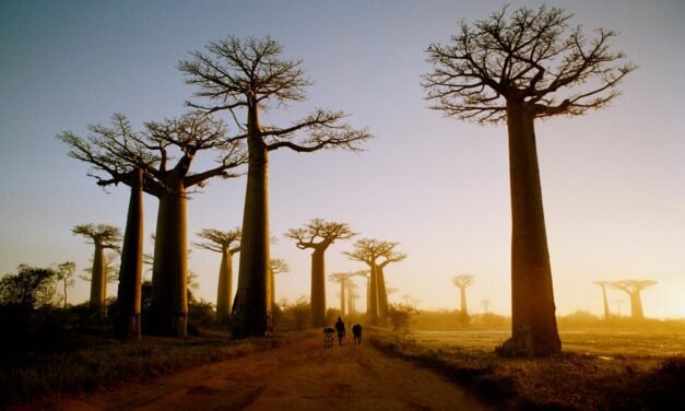 Madagascar : (Re)-construire l’image du pays ?