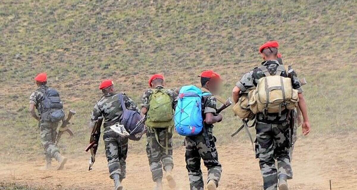 Insécurité rurale à Madagascar : Craintes et Désarroi