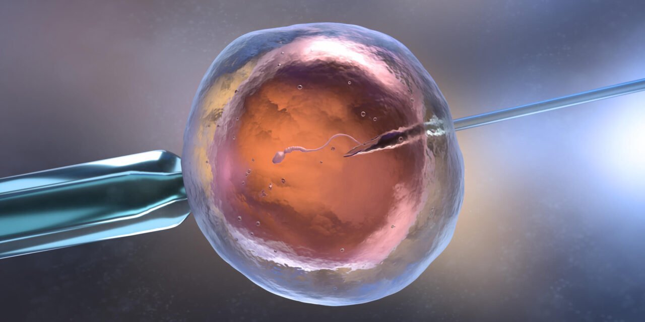 Procréation Médicalement Assistée : Jusqu’où se recouvrir du voile de la liberté ?