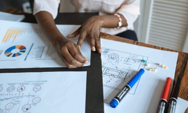 Intellectuels de la Diaspora malagasy : comment bâtir, développer, faire émerger Madagascar en Afrique ?