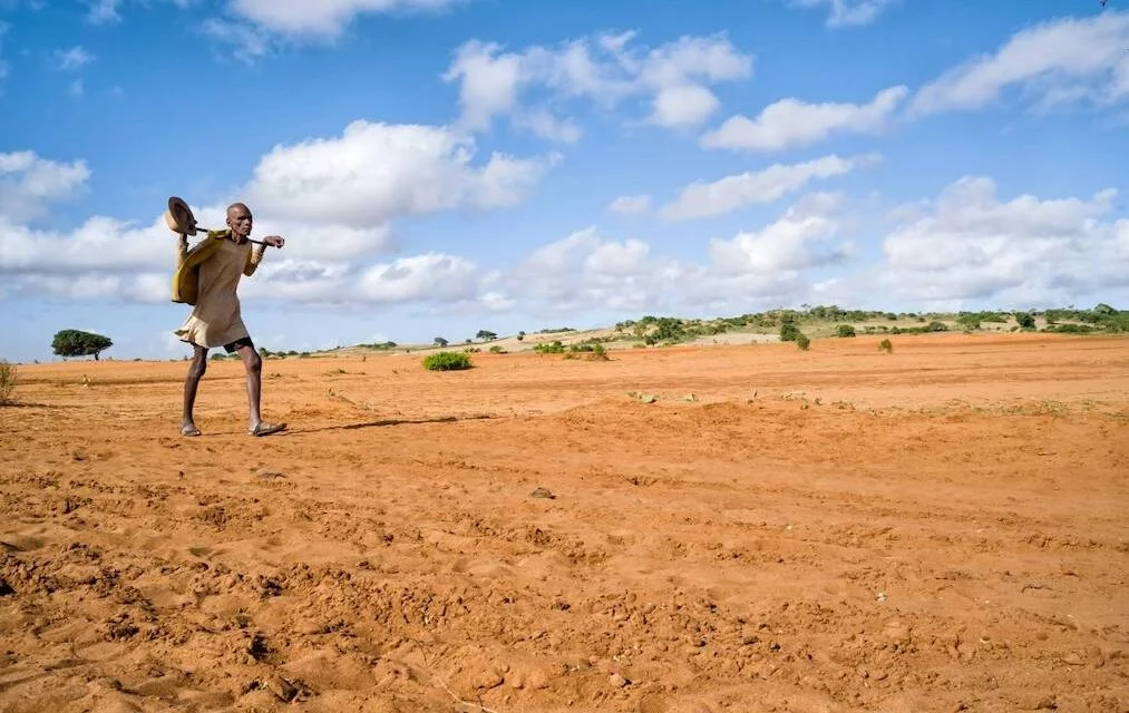 2022, une nouvelle vision pour Madagascar