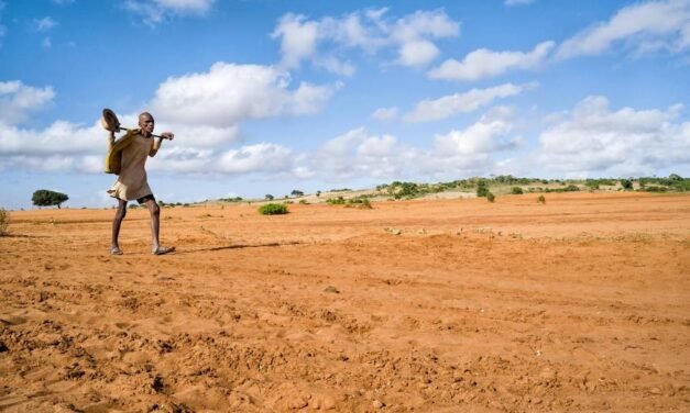 2022, une nouvelle vision pour Madagascar