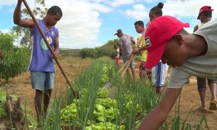 L’avenir des agriculteurs : le grand défi Malagasy