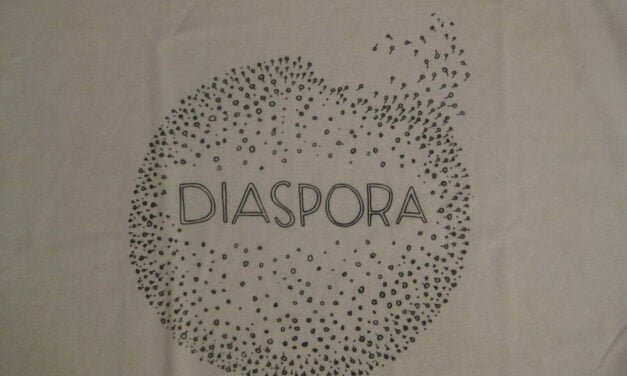 Intellectuels de la Diaspora malagasy : Comment bâtir, développer, faire émerger Madagascar en Afrique ?