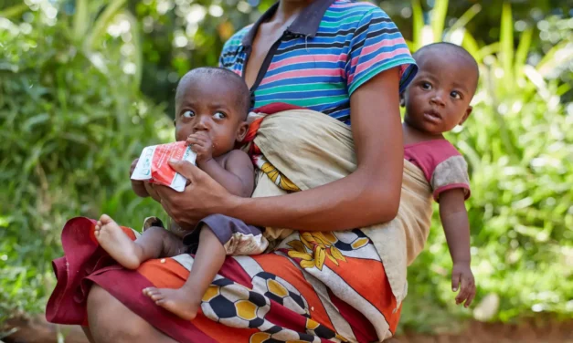 Madagascar : hôte de la conférence régionale sur la sécurité alimentaire et la nutrition