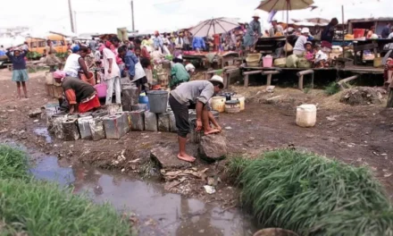L’autre Madagascar