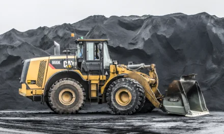 Les potentiels inexplorés de Madagascar