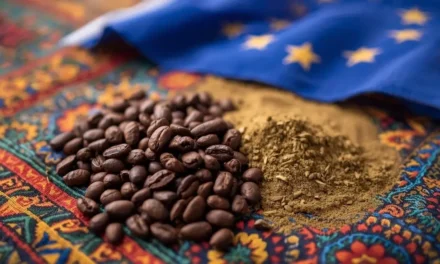 Cacao, moringa : les enjeux de la valeur ajoutée africaine sur le marché européen